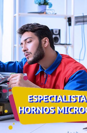 servicio técnico horno microondas LG
